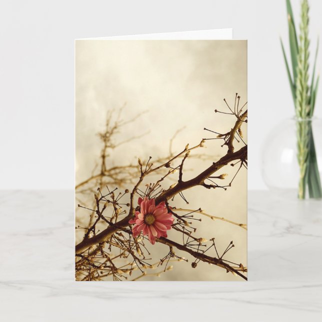 Carte Nostalgie (Devant)