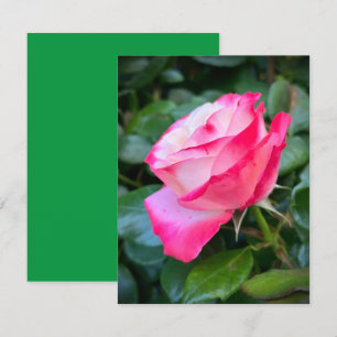 Carte Nostalgie Rose Nostalgie