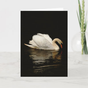 Carte Nota blanche avec Beau Cygne