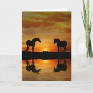 Carte Note blanche de cheval