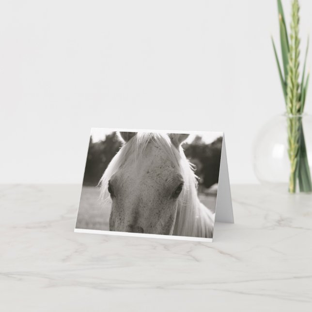 Carte Note blanche du cheval blanc (Devant)