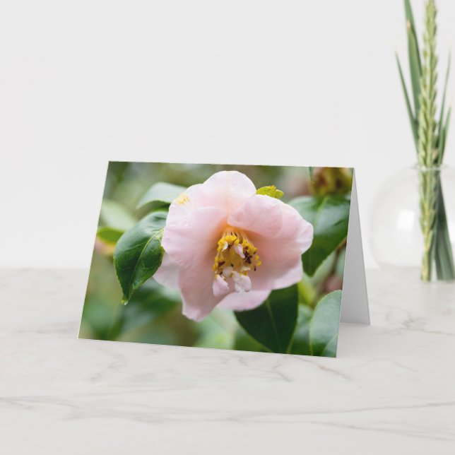 Carte Note de Fleur de Camellia Rose (Devant)