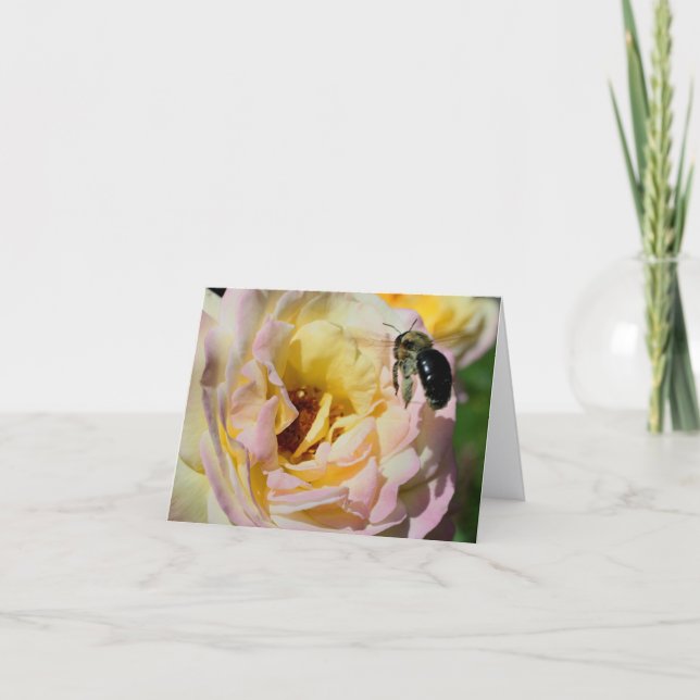 Carte Note de photographie de fleur d'abeille et de rose (Devant)