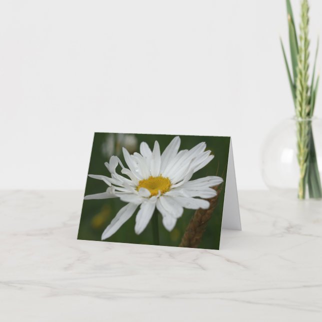 Carte Note de photographie de fleur de marguerite blanch (Devant)
