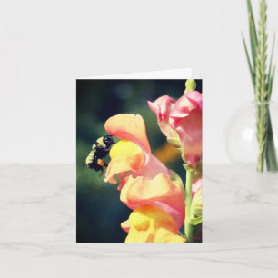 Carte Note de photographie de la fleur de muflier et d'a
