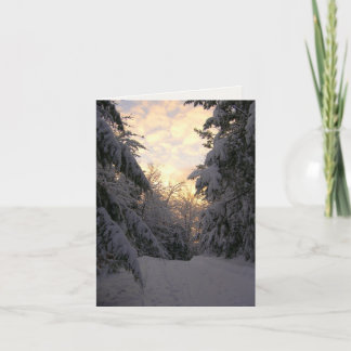 Carte Note de photographie de lever de soleil de pins