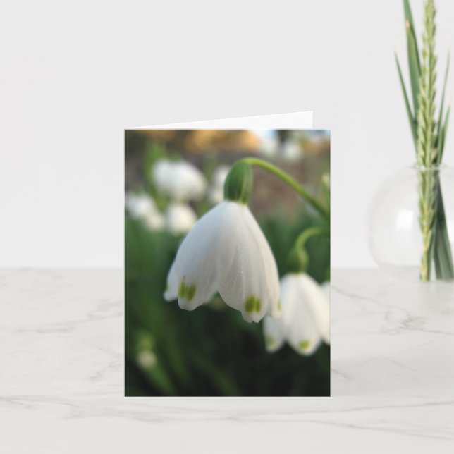 Carte Note de Snow Drop (Devant)