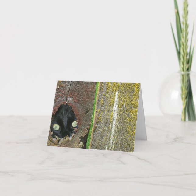 Carte - Note - observation du chat noir (Devant)