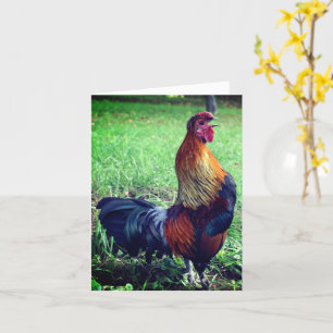 Carte Note sur les animaux de la ferme de croisière de c