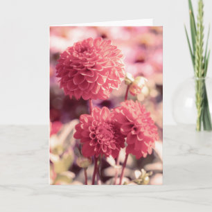 Carte Note sur les fleurs de dahlia rose