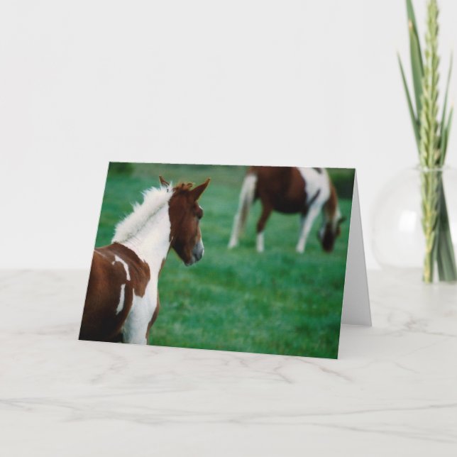 Carte Notecard_Horses vide frôlant en été (Devant)