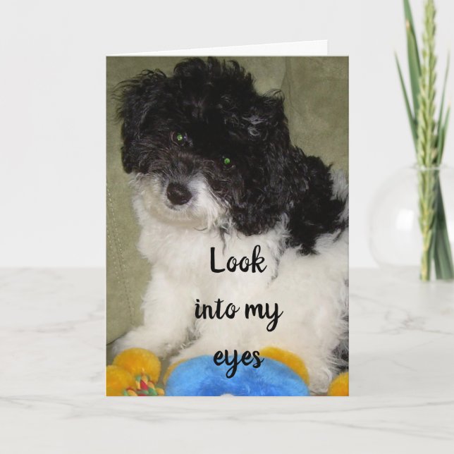 CARTE "NOTRE ANNIVERSAIRE" QUE PENSEZ-VOUS QUE JE PENSE  (Devant)