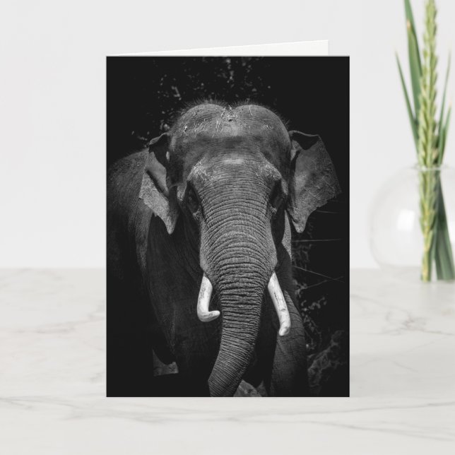 Carte N'oubliez jamais un anniversaire (Devant)