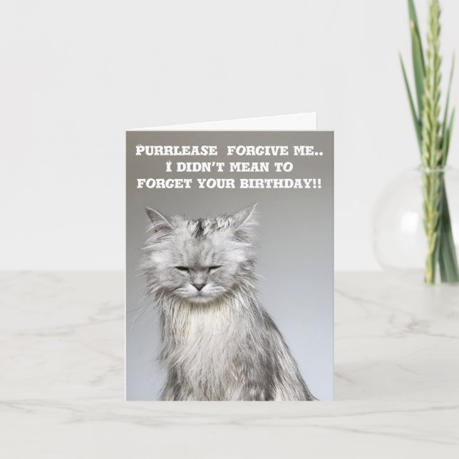 Carte NouillesChillaxingChat Anniversaire tardif (Devant)