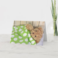 Nounours ours en peluche