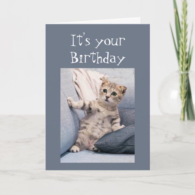 Carte Nous n'avons pas oublié votre chaton d'anniversair (Devant)