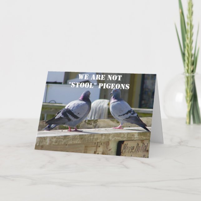 CARTE NOUS NE SOMMES PAS DES PIGEONS STOOL (Devant)