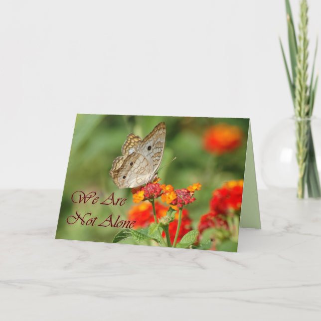 Carte Nous Ne Sommes Pas Le Seul Papillon (Devant)