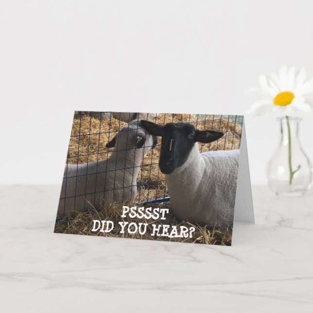 CARTE NOUS VOUS AVONS "SAUVÉ UN MORCEAU DE GÂTEAU" ANNIV (Petite plante)