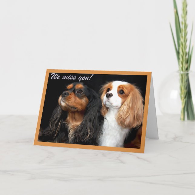 Carte Nous vous manquons Cavalier King Charles Spaniel C (Devant)