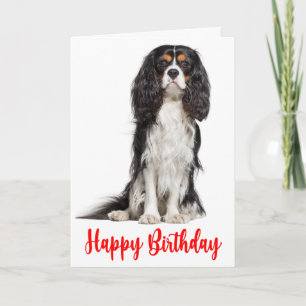 Carte Nouvel anniversaire du mignon roi Charles Cavalier