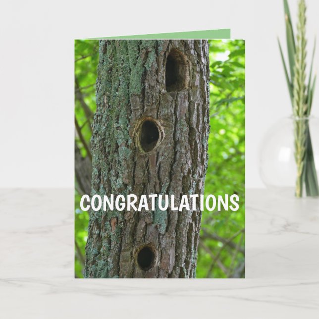 Carte Nouvel arbre d'appartement I (Devant)