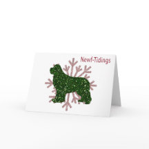 Nouvelle-Fête Pailletée