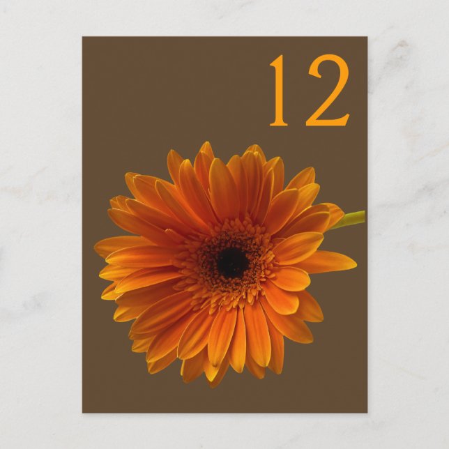 Carte Numéro de table Orange Gerbera Daisy (Devant)