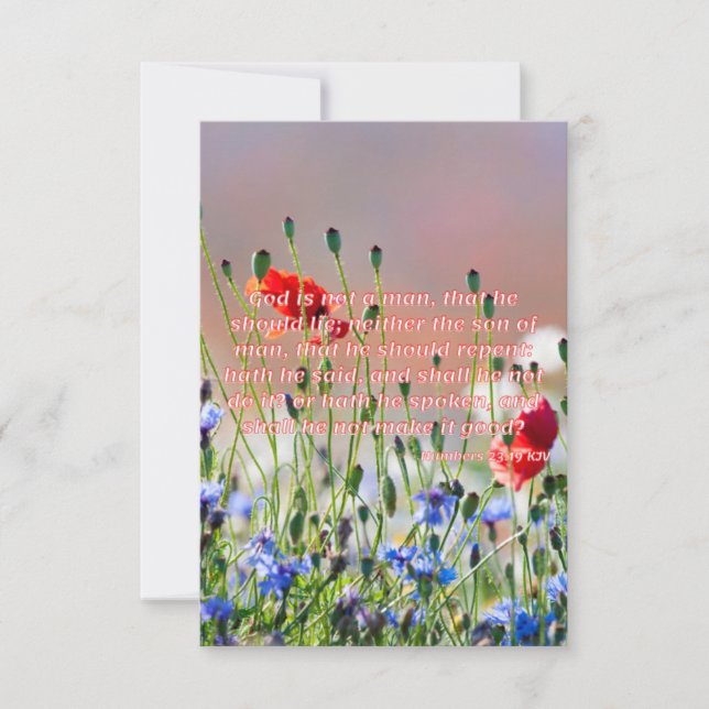 Carte Numéros 23:19 KJV Bible Verse Pic Flat Salutation (Devant)