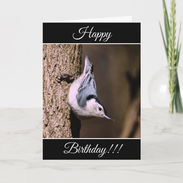 Carte Nuthatch Anniversaire Personnalisée (Devant)