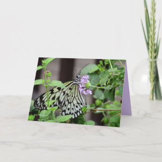 Carte Nymphe de l'arbre