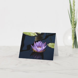 Carte Nymphéa pourpre