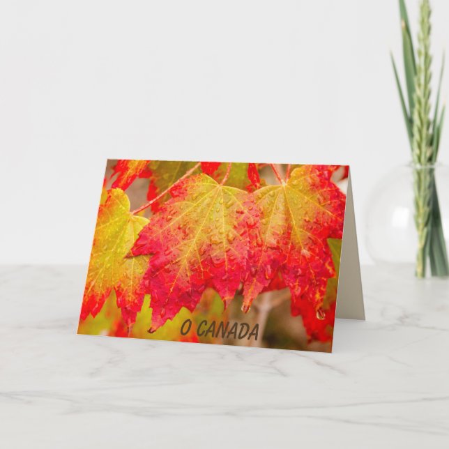 CARTE O CANADA (Devant)