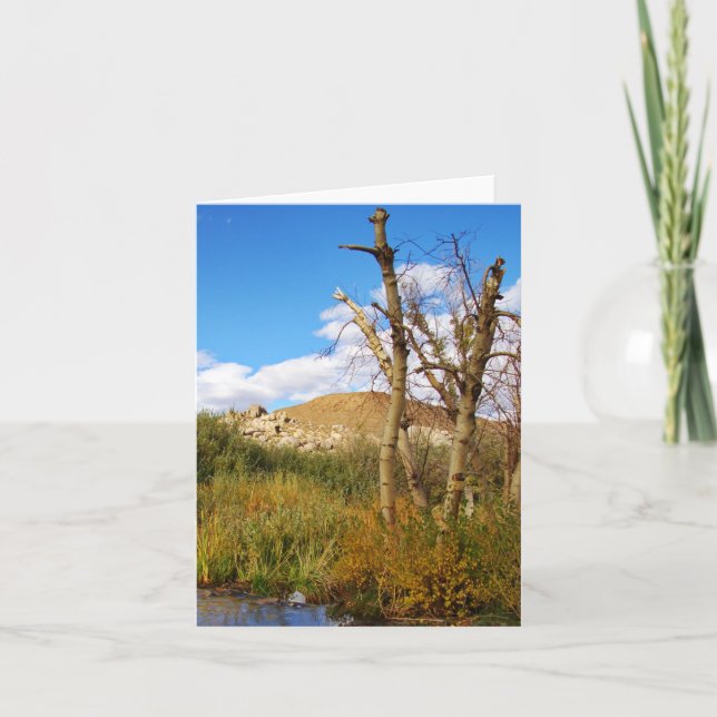 Carte Oasis (Devant)