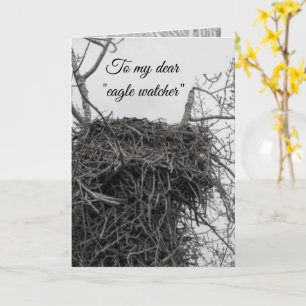 Carte Observateur d'aigles