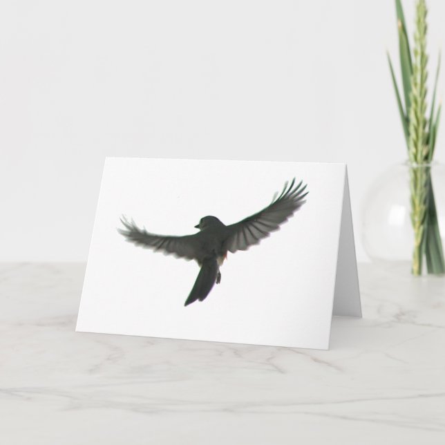 Carte Observateur d'oiseaux (Devant)