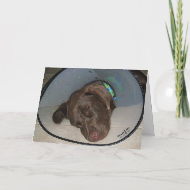 Carte Obtenez bien bientôt (Devant)