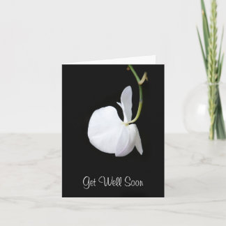Carte Obtenez bien Bientôt Fleur Blanche accroché sur la