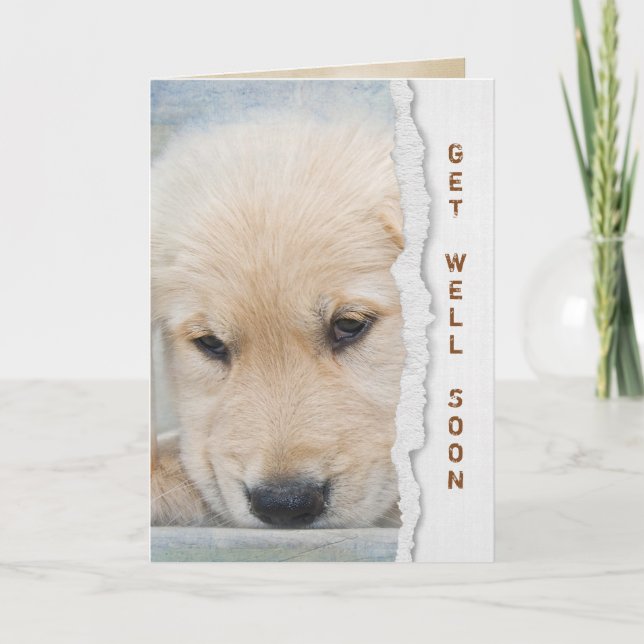 Carte Obtenez bien Bientôt golden retriever chippy (Devant)