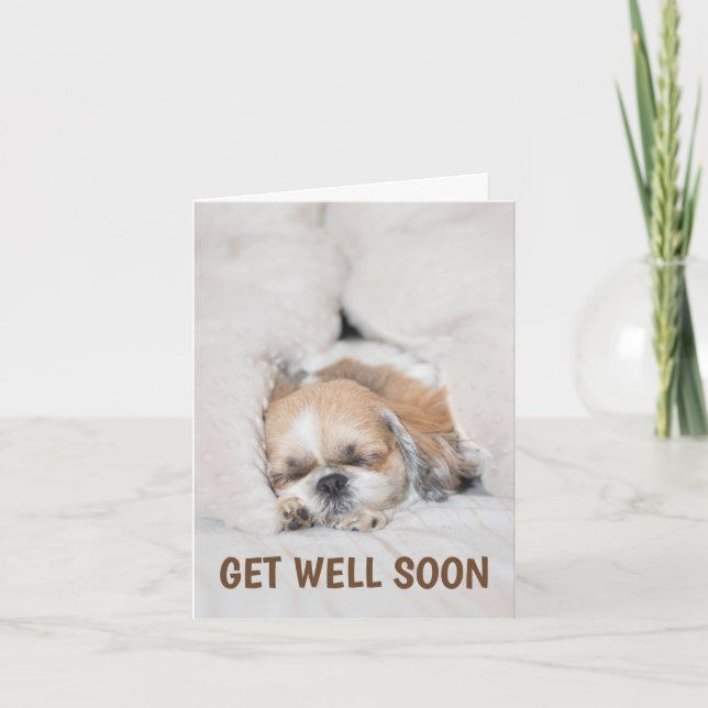 Carte Obtenez bien bientôt mignonne chiot chien shihtzu  (Devant)