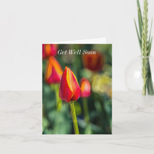 Carte Obtenez Bien Bientôt Texté Jardin Tulipe