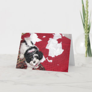 Carte Obtenez bien - Havanese Puppy Card