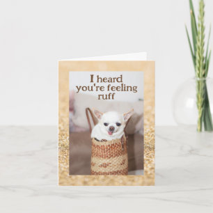 Carte Obtenez bien mignon chien chihuahua éclaboussure o