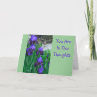OBTENEZ DES IRISATIONS BIEN/PURPLE, "VOUS ÊTES DAN