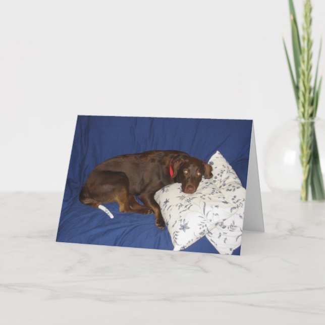 Carte Obtenez Jake bon (Devant)