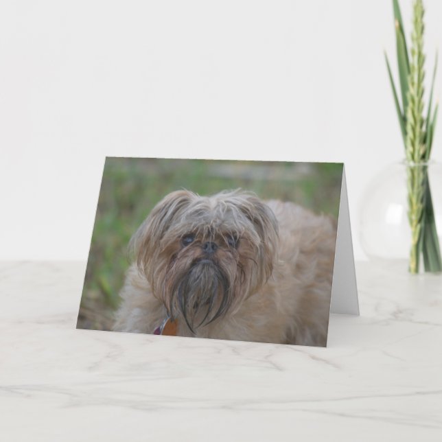 Carte Obtenez le Carte-Humour bon/grossier (Devant)