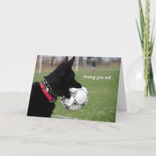 Cartes De Vœux Humour Du Football Zazzle Fr