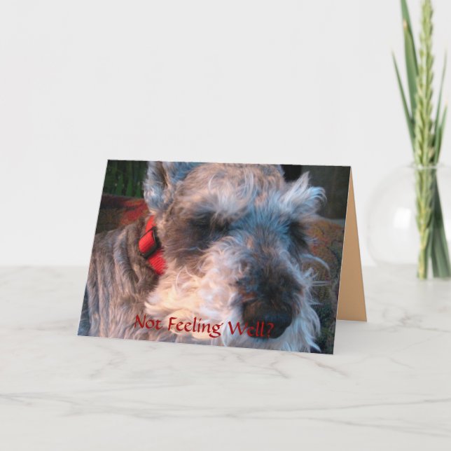 Carte Obtenez le puits bientôt, plein d'espoir (Devant)