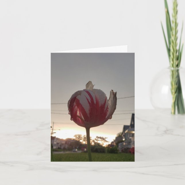 Carte Obtenez Un Véritable Travail, Hippie (Devant)