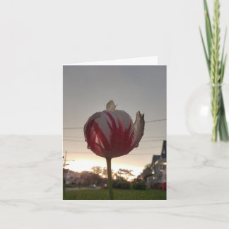 Carte Obtenez Un Véritable Travail, Hippie